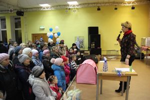 В Великих Луках прошла выставка кошек (фото)