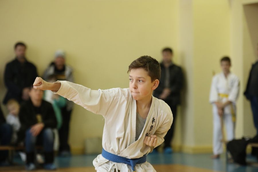 В Великих Луках прошло Первенство города по ВБЕ «КОБУДО» (ФОТО)