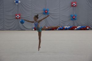 ​В Великих Луках прошли соревнования по художественной гимнастике (ФОТО)