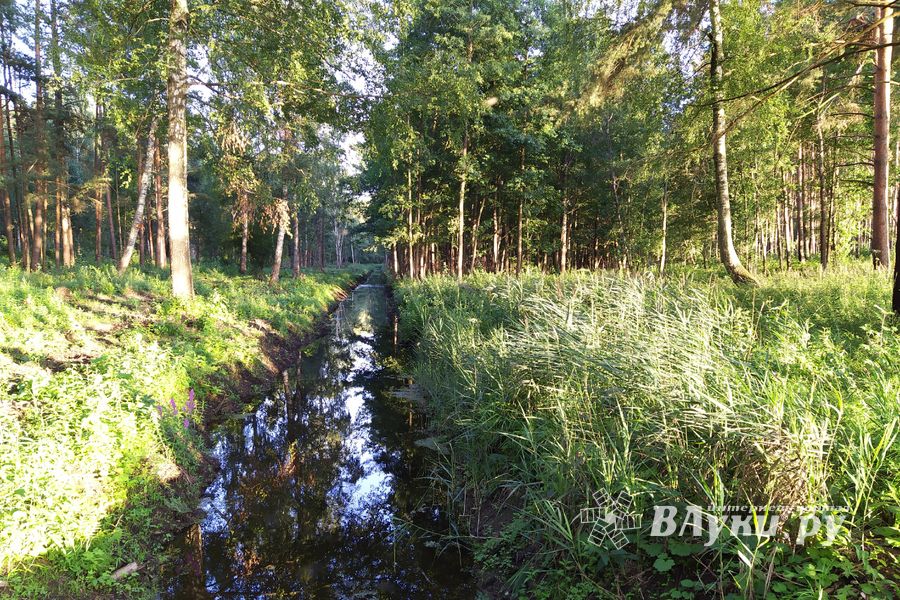 В «Парке без границ» появляются беседки (ФОТО)