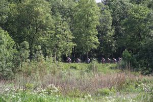 Первенство Псковской области по велогонкам