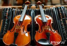 Дновская, Печорская и Пушкиногорская ДШИ получат музыкальные инструменты и оборудование по нацпроекту