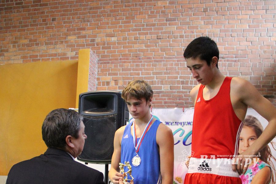 16-й Международный турнир по боксу (фото)