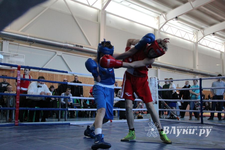 Фестиваль боевых искусств прошел в Великих Луках (ФОТО)