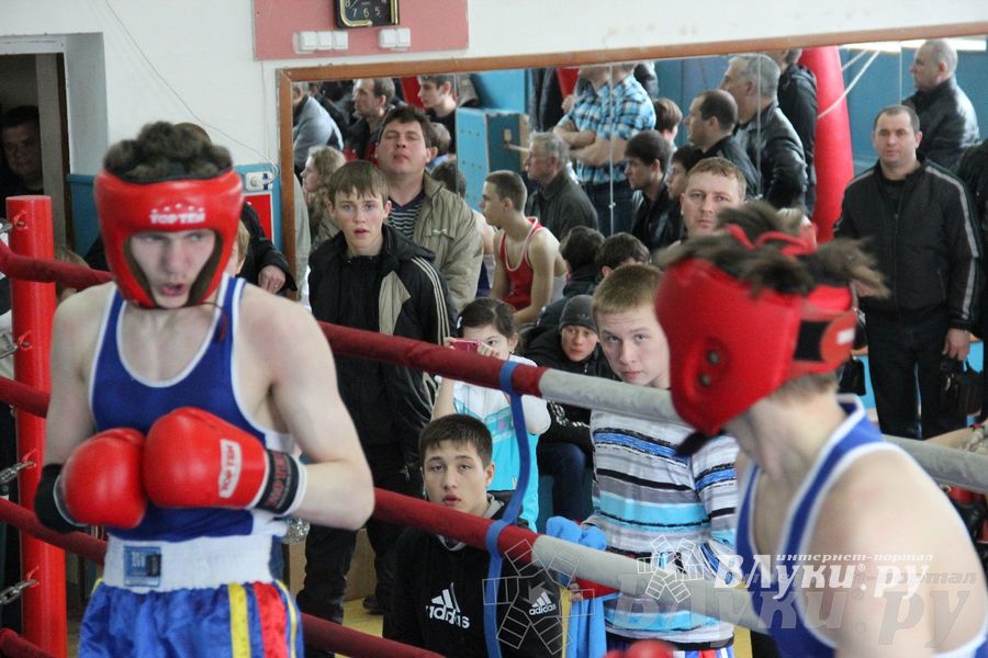 Открытое Первенство города по боксу