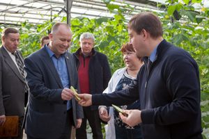 Андрей Турчак попробовал новый урожай огурцов (фото)