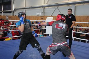 1-й Фестиваль боевых искусств состоялся в Великих Луках  (ФОТО)