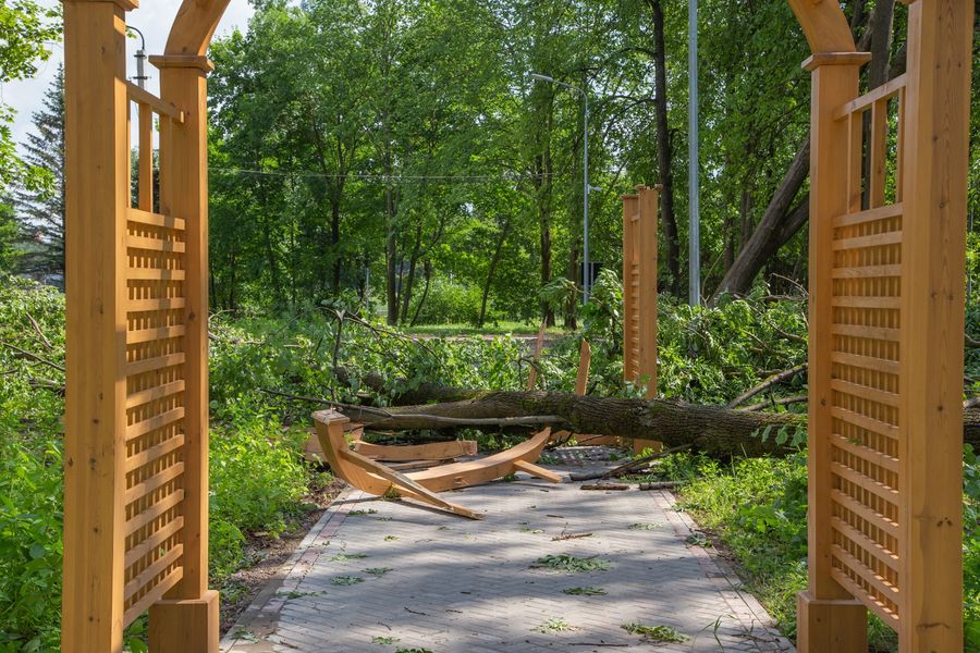 Небезразличные великолучане помогают убрать город после урагана (ФОТО)