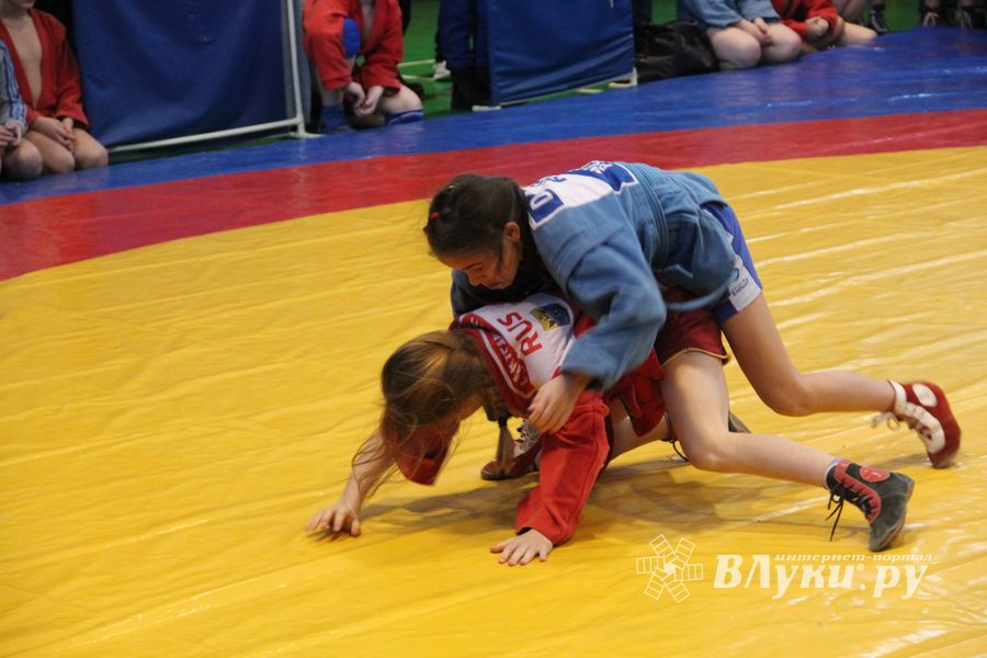 В Великих Луках проходит турнир самбистов (ФОТО)
