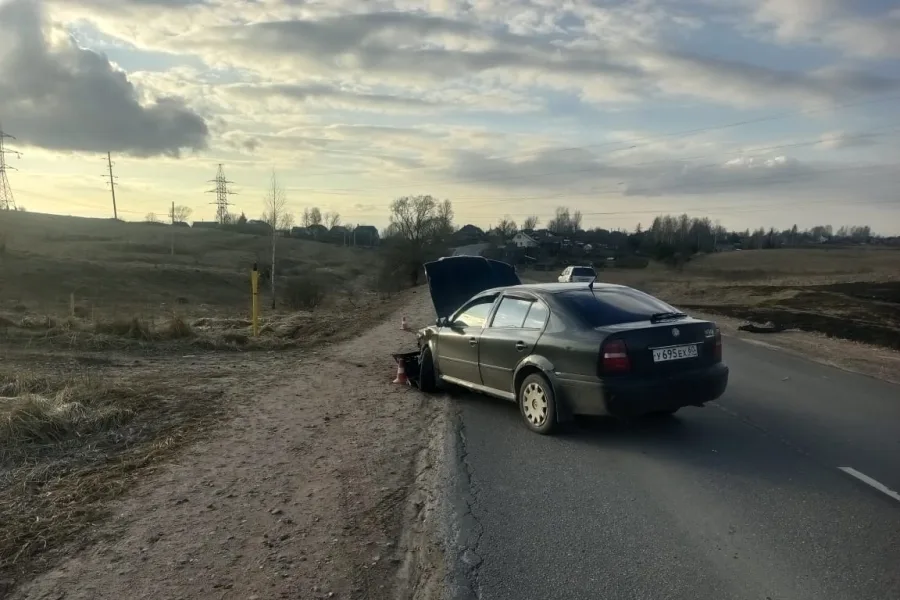 Фото: пресс-службы МО МВД России "Великолукский"