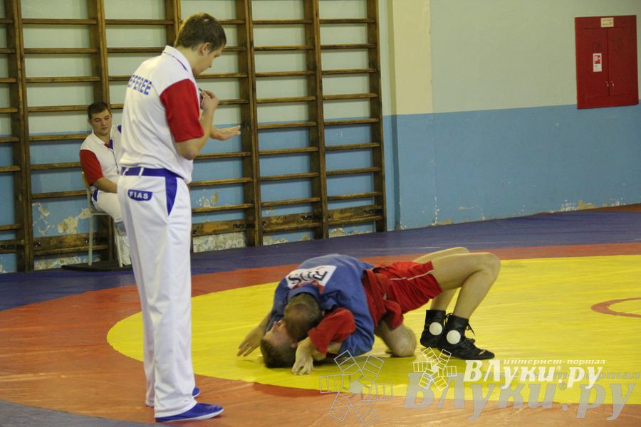Всероссийский турнир по самбо