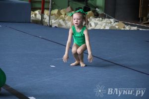 В Великих Луках состоялось Первенство по командной гимнастике (фото)