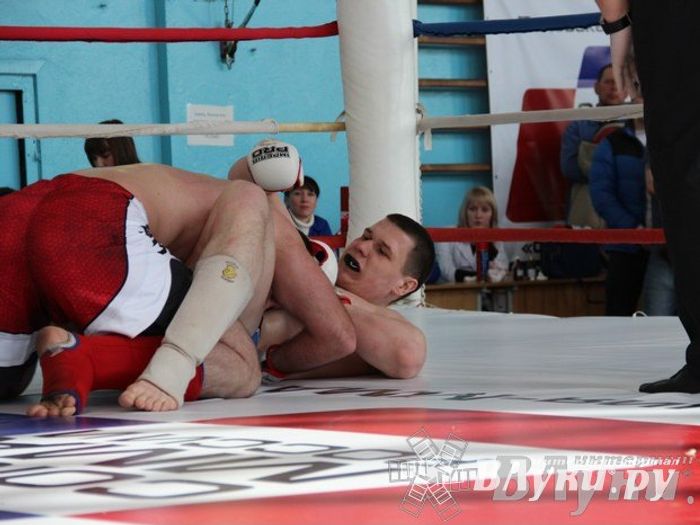 Чемпионат Псковской области по ММА