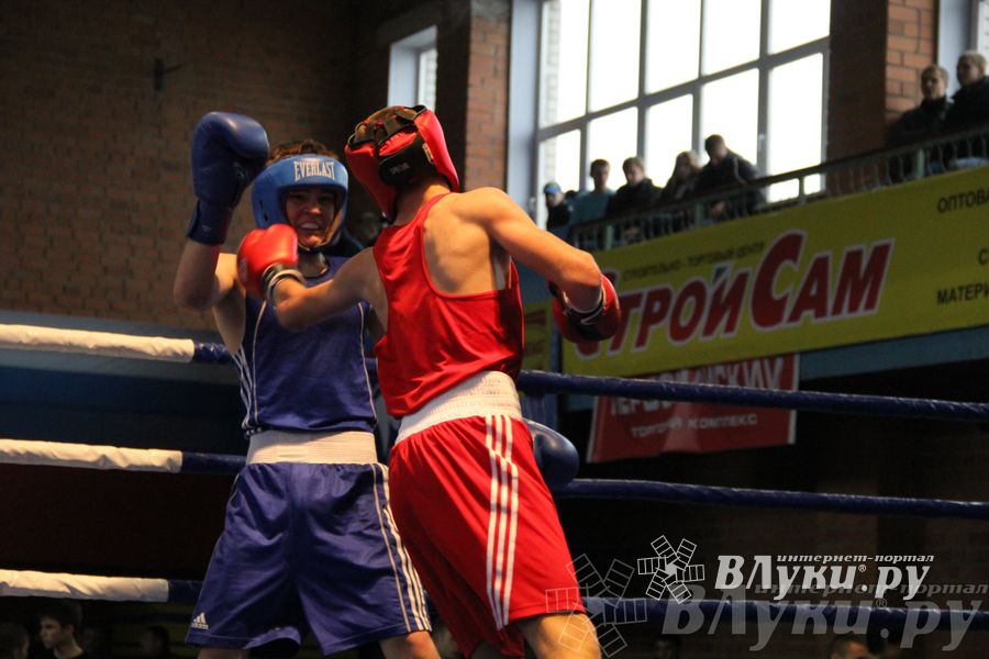 16-й Международный турнир по боксу (фото)