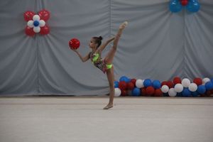 ​В Великих Луках прошли соревнования по художественной гимнастике (ФОТО)