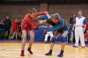 Великолукские самбисты завоевали 54 награды на Первенстве города (ФОТО)