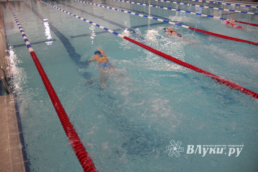 В Великих Луках прошло Первенство города по плаванию (ФОТО)