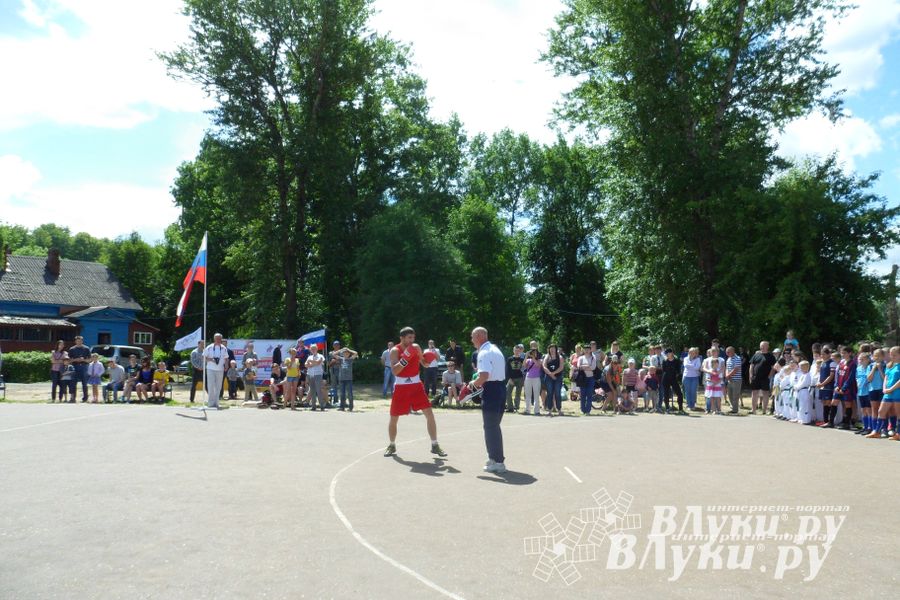 В Великих Луках прошел Всероссийский олимпийский день (фото)