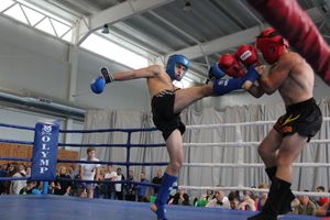 1-й Фестиваль боевых искусств состоялся в Великих Луках  (ФОТО)