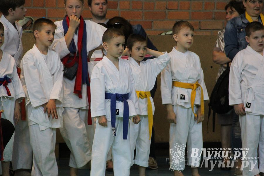 Великолучане стали победителями турнира по каратэ «Неприкосновенный запас, дети — Отчизны 2015» (фото)