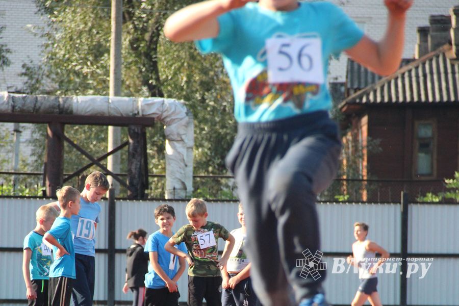 В Великих Луках проходят соревнования «Шиповка юных» (ФОТО)