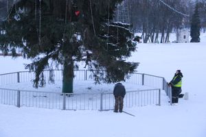 В Великих Луках приступили к демонтажу новогодней ёлки (ФОТО)