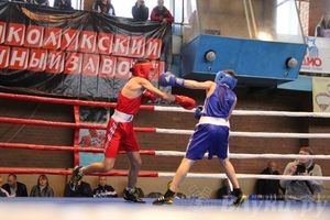 16-й Международный турнир по боксу (фото)