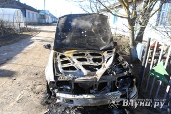 В Псковской области сгорел автомобиль (ФОТО)