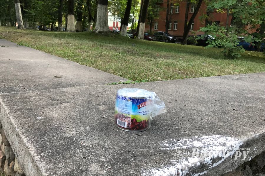 Парк Пушкина: «... А вкруг меня глухое запустенье...» (ФОТО)