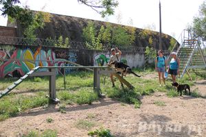 День открытых дверей на спортивно-дрессировочной площадке