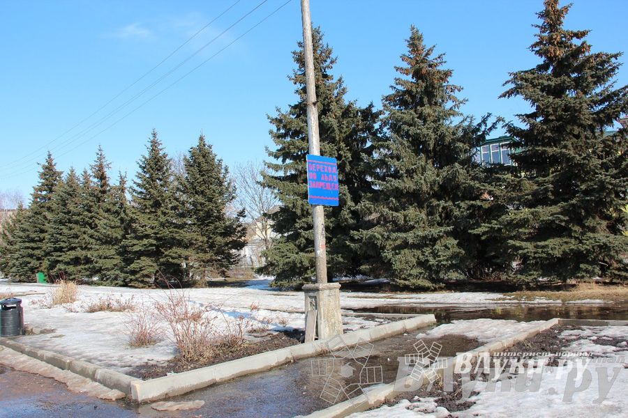 Весенний день