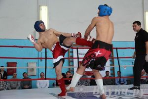 Чемпионат Псковской области по ММА