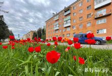 Прогноз погоды на 8 мая в Великих Луках