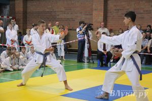 Великолучане стали победителями турнира по каратэ «Неприкосновенный запас, дети — Отчизны 2015» (фото)