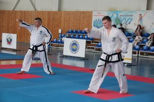 В Великих Луках состоялся Чемпионат и первенство Псковской области по тхэквондо МФТ (ФОТО)