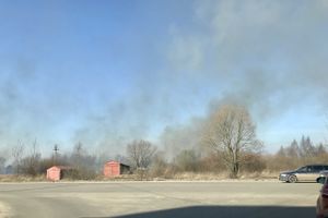 Пал травы угрожает строениям в Северном микрорайоне (ФОТО; ВИДЕО)