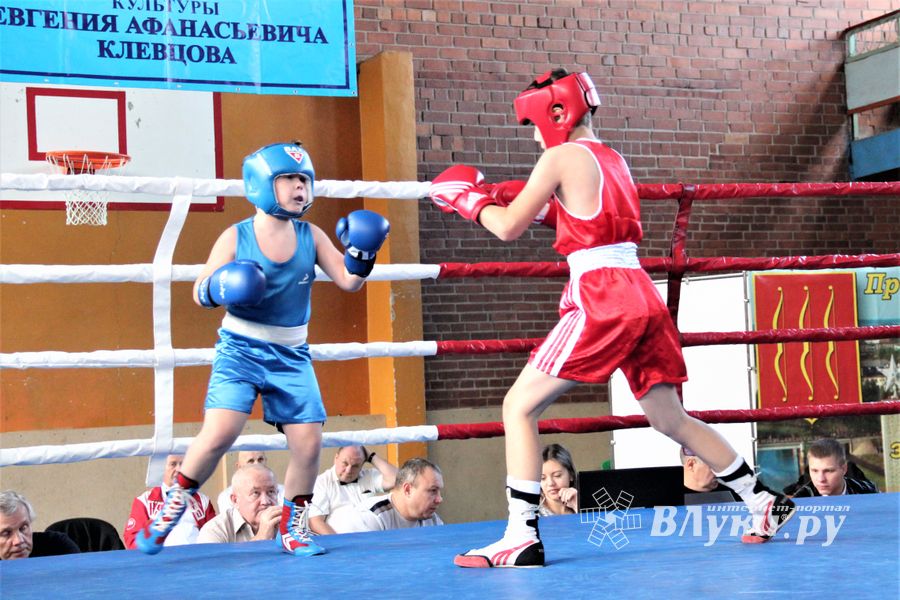 Второй день турнира по боксу складывается для великолучан удачно (ФОТО)