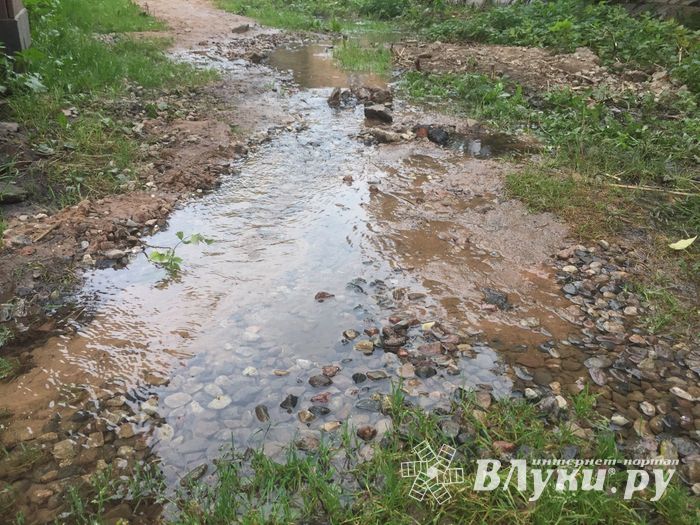 В Великих Луках забил «гейзер», по словам коммунальщиков, «рядовая ситуация» (ФОТО+ЗВУК)