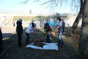 Сотрудники администрации города и великолукской городской думы приняли участие в осеннем субботнике