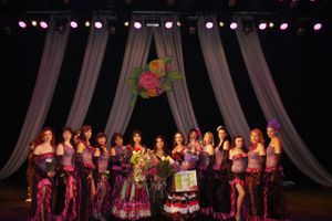 Студии восточного танца «Жемчужная россыпь» присвоено звание народного самодеятельного  коллектива (фото)