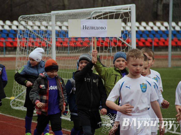 В Великих Луках прошел международный детский турнир по футболу «Наши надежды»