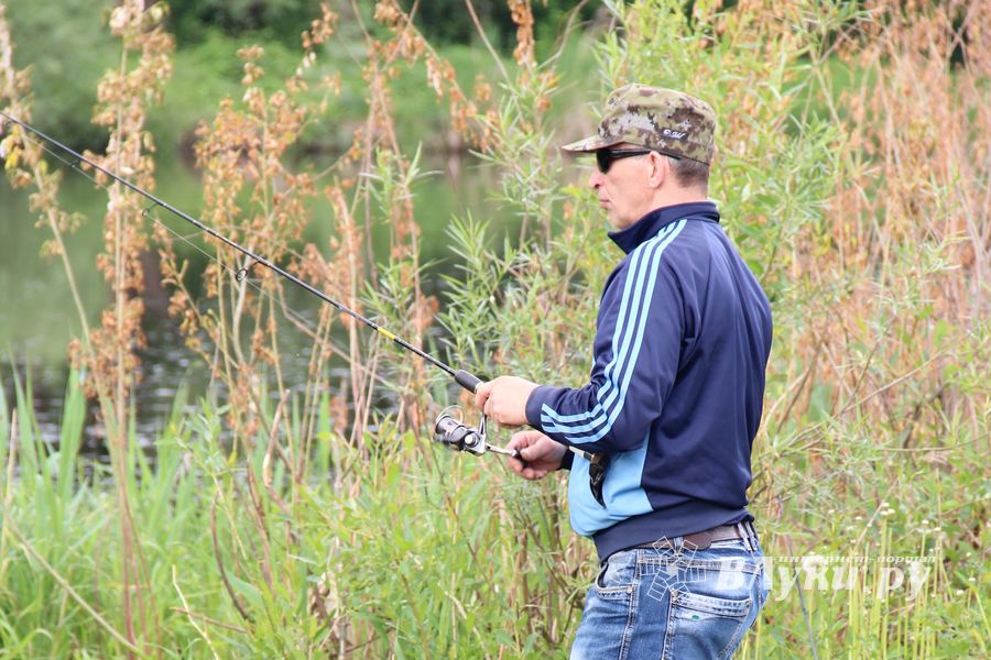 Чемпионат Великих Лук по ловле спиннингом: клевала, но мало (ФОТО)