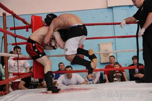 Открытый Кубок города Великие Луки по смешанному боевому единоборству (ММА)