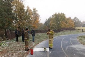 В Псковской области прошли соревнования дружин юных пожарных (фото)