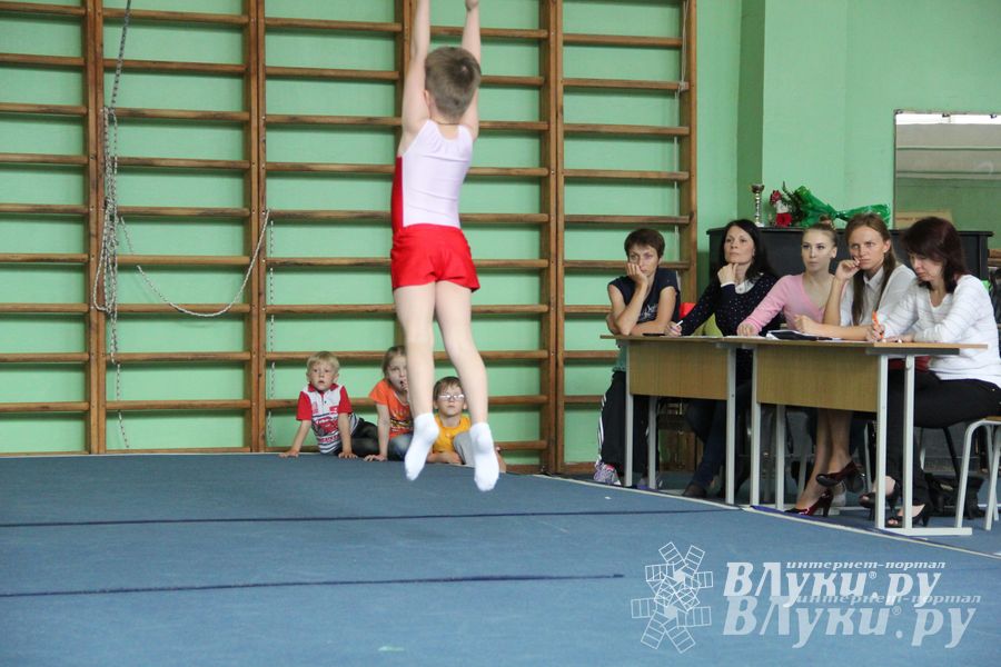 В Великих Луках состоялось Первенство по командной гимнастике (фото)
