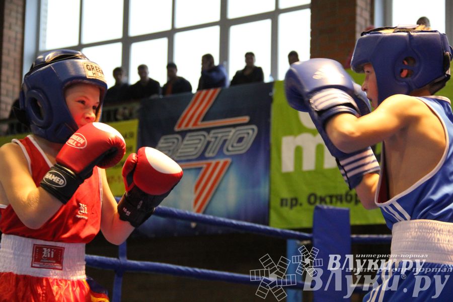 Открытие 16-го  Международного турнира по боксу