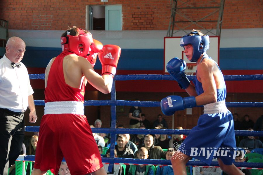 В Великих Луках прошел турнир по боксу памяти Е. Клевцова (ФОТО)
