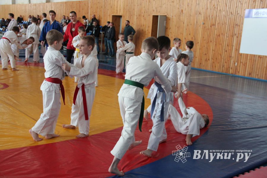 Сергей Фомин провёл мастер-классс для великолукских дзюдоистов (ФОТО)