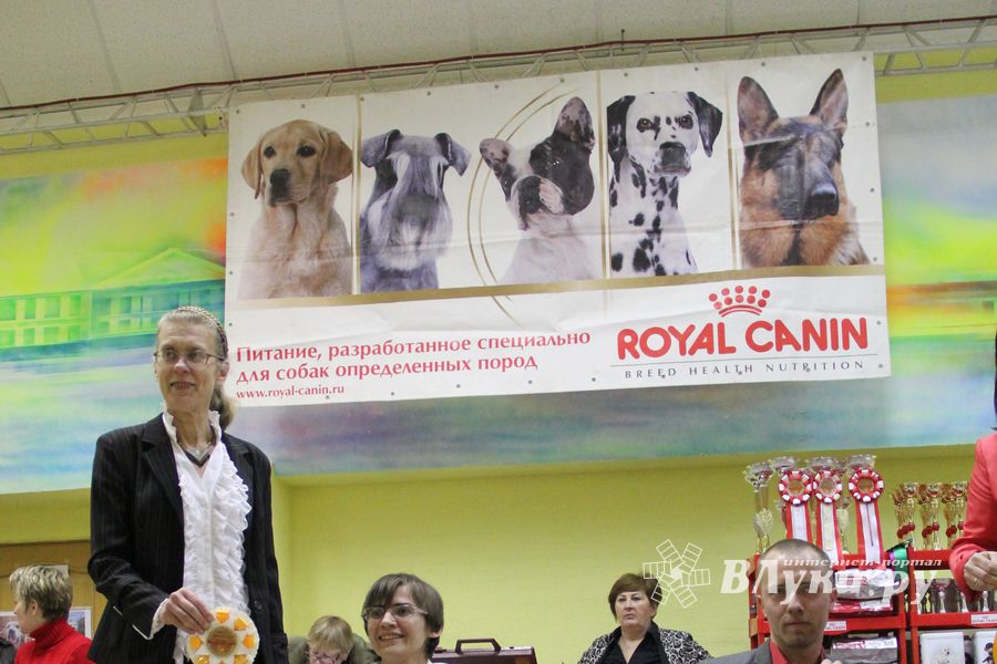 Всероссийская выставка собак «Великие Луки — 2014»