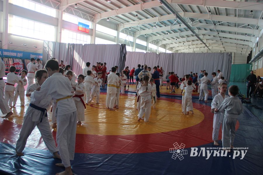 Сергей Фомин провёл мастер-классс для великолукских дзюдоистов (ФОТО)